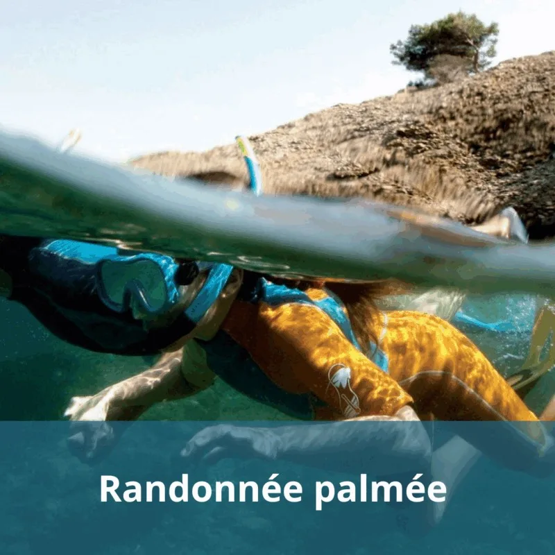 Personne en randonnée palmée, vue à moitié immergée, eau turquoise