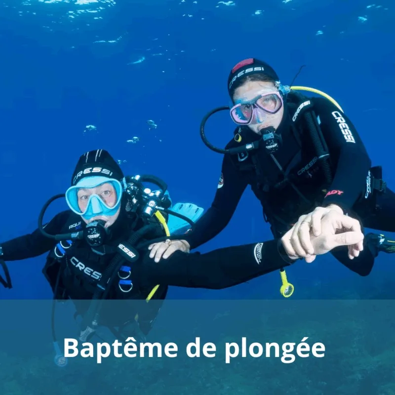 Deux plongeurs en combinaison explorent les fonds marins bleus