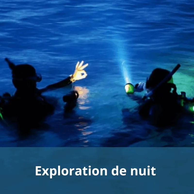 Plongeurs nocturnes éclairés par des lampes sous-marines, exploration