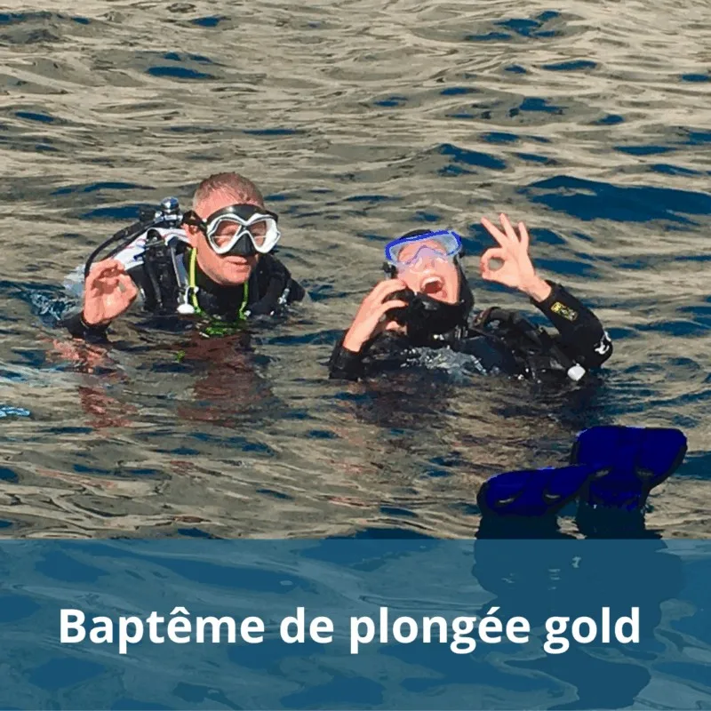 Deux plongeurs souriants font des signes de validation sous l'eau