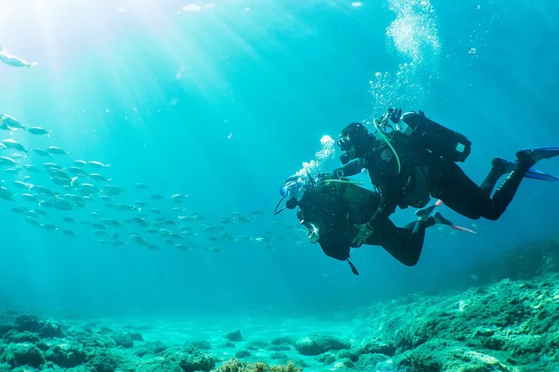 Deux plongeurs explorent un récif corallien avec des poissons
