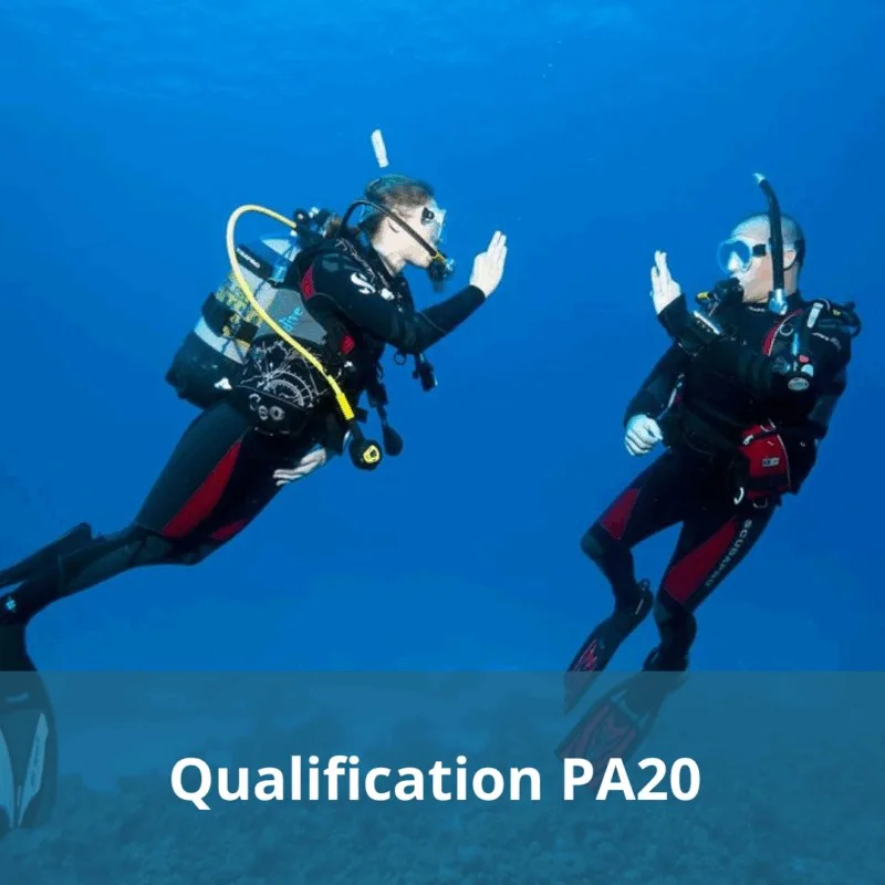 Deux plongeurs en combinaison communiquent sous l'eau, formation PA20