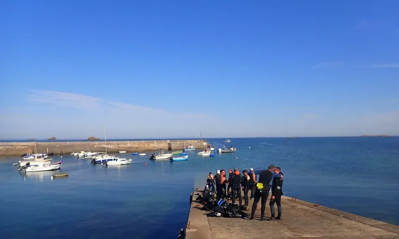 Groupe de plongeurs équipés sur un quai ensoleillé près de bateaux