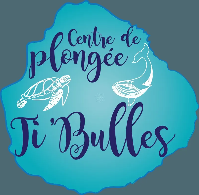 Tortue marine et coquillage stylisés sur fond bleu turquoise