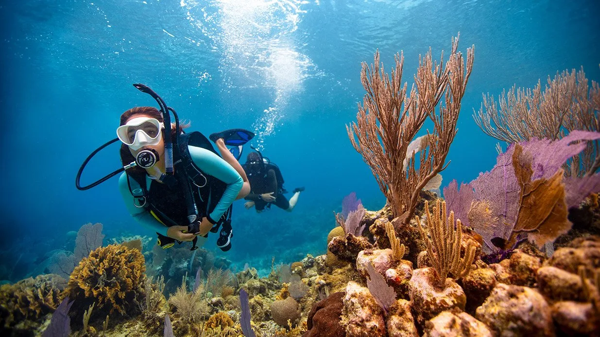 Excel Scuba Tenerife