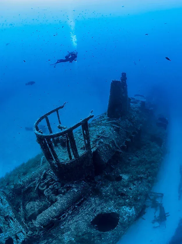 Plongeur explorant une épave colonisée par la vie marine