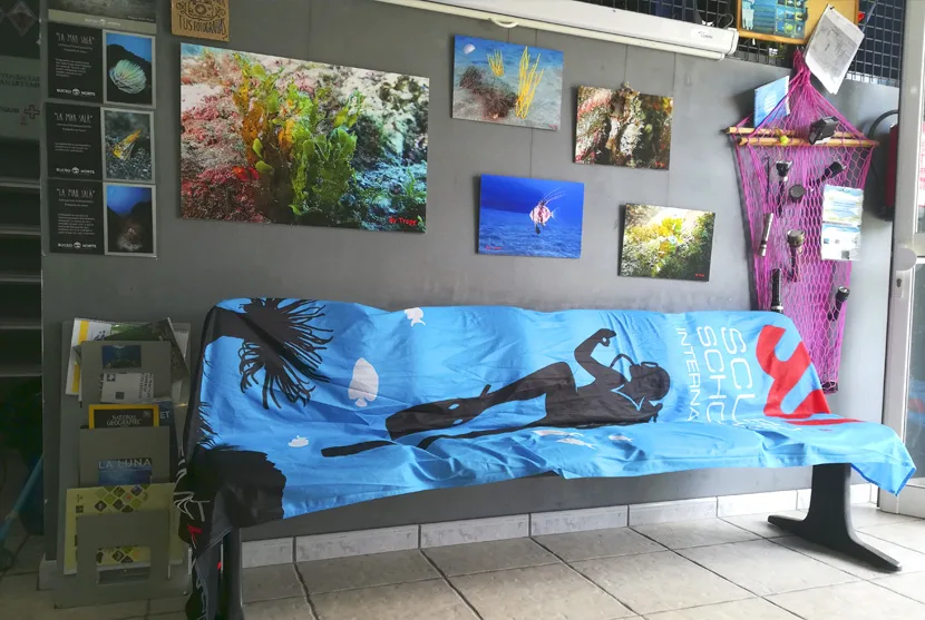 Intérieur d'un centre de plongée avec des photos et un canapé bleu