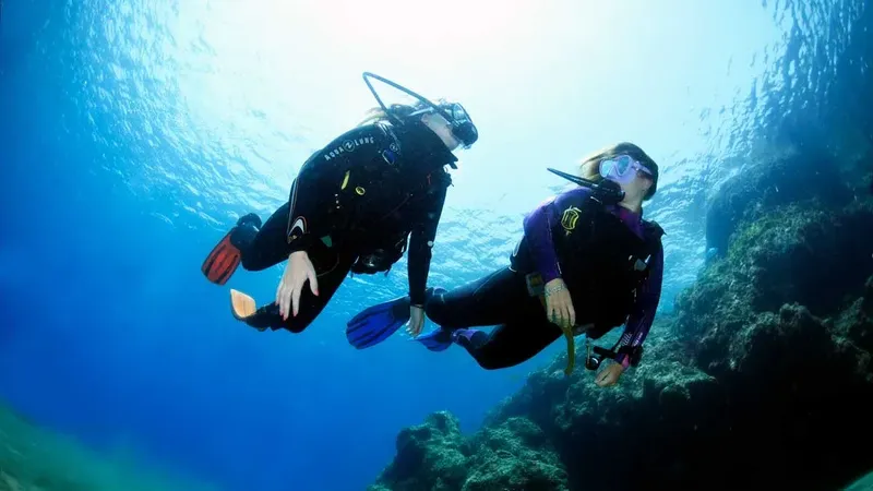 Deux plongeurs explorent un récif corallien en eau bleue claire