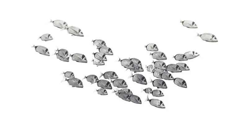 Banc de poissons chirurgiens nageant en formation dans l'eau