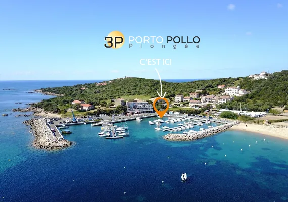 Vue aérienne d'un port de plaisance avec le centre de plongée signalé