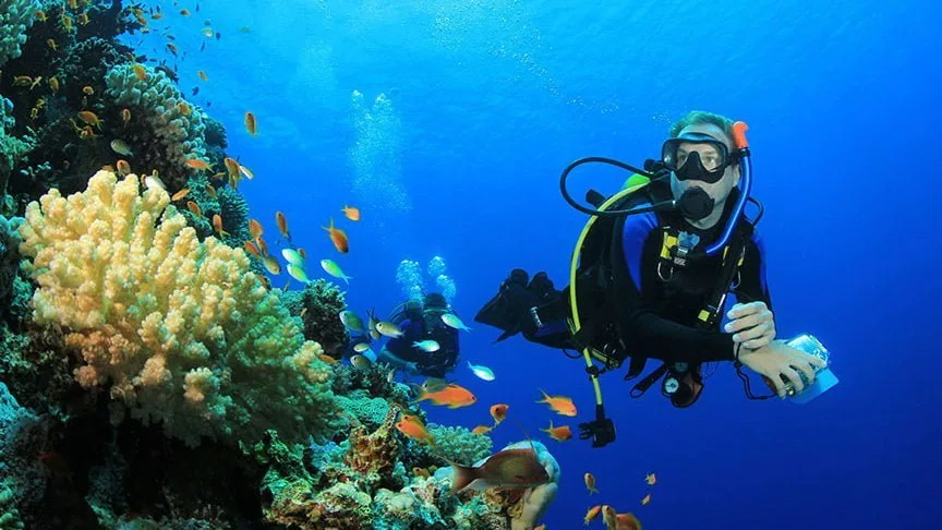 Deux plongeurs explorent un récif corallien coloré avec des poissons