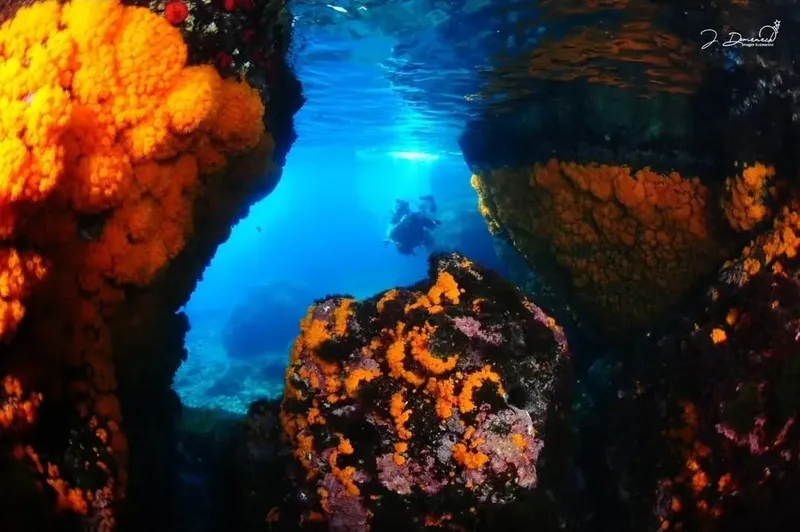 Deux plongeurs explorent une grotte sous-marine lumineuse et colorée