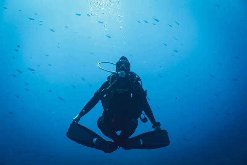 Plongeur en combinaison noire, entouré de petits poissons bleus en mer
