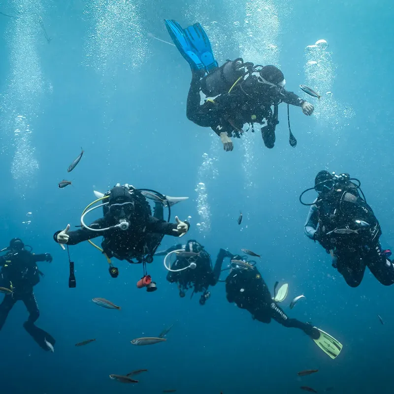 Groupe de plongeurs explorant les fonds marins, lumière bleue, visibilité claire