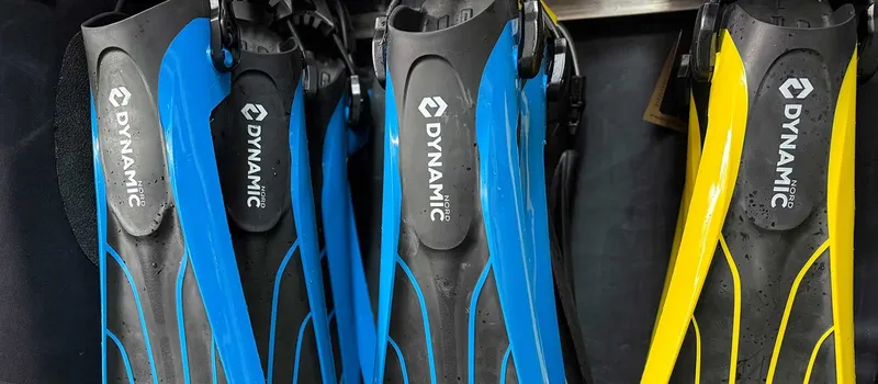 Plaques de palmes de plongée Dynamic Nord bleues et jaunes alignées