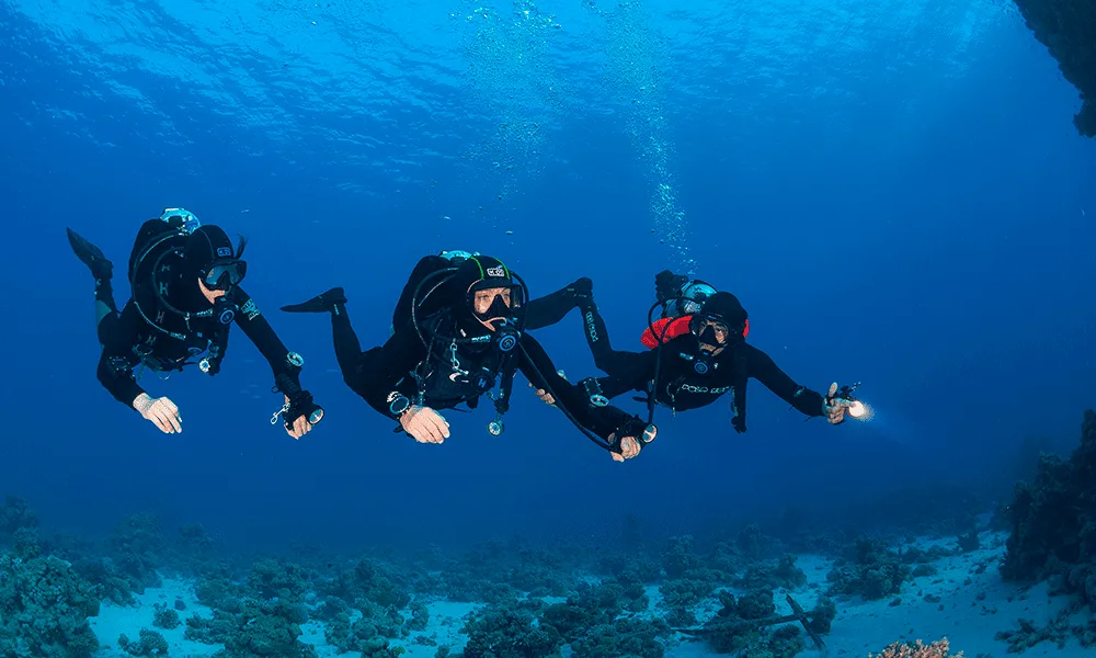 Quatre plongeurs en combinaison explorent un récifal sous-marin bleu