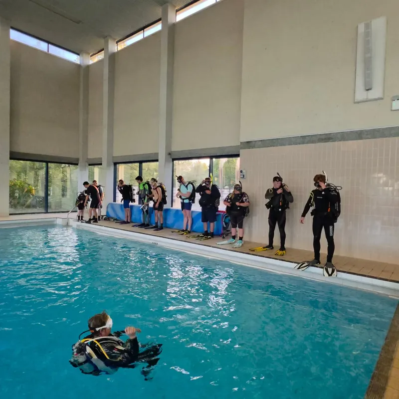 Groupe de plongeurs en formation dans une piscine intérieure lumineuse