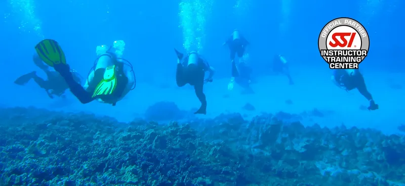 Plongeurs en exploration sous-marine, avec un logo de certification visible