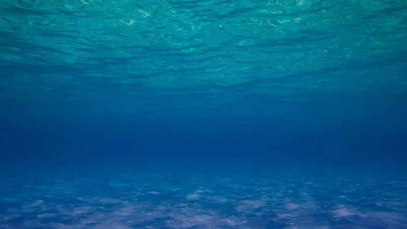 Vue sous-marine, eau bleue claire, lumière filtrant à travers la surface