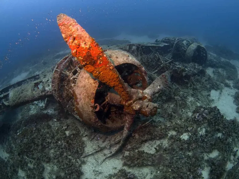 Épave d'avion sous-marine recouverte de coraux et de petits poissons