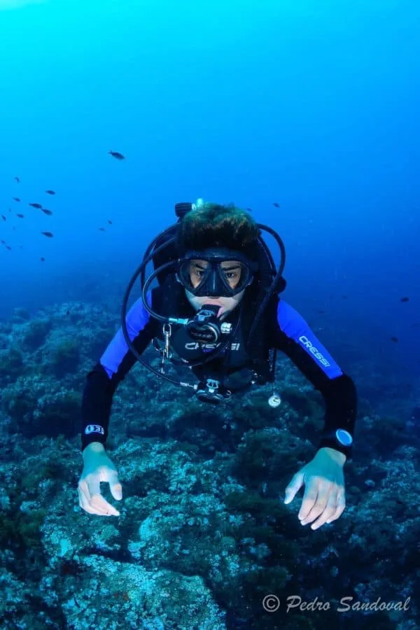 Plongeur en combinaison regarde la camera dans un environnement bleu