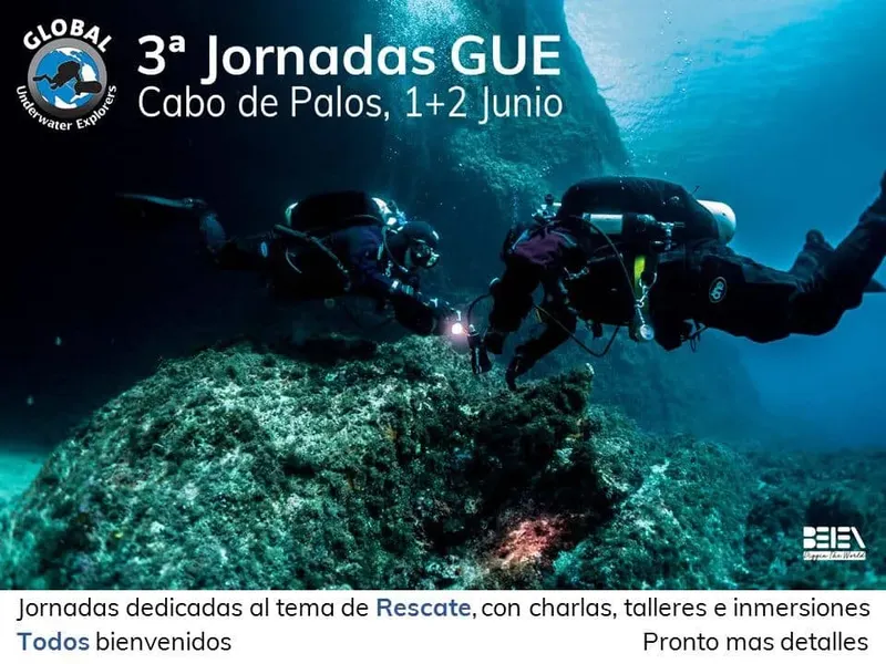 Trois plongeurs explorent un récif rocheux en mer, lumière bleutée