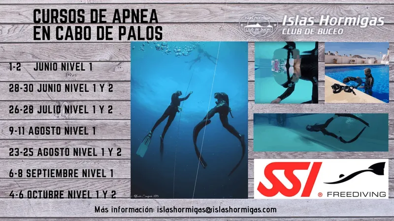 Affiche promotionnelle pour des cours d'apnée en Espagne avec des plongeurs