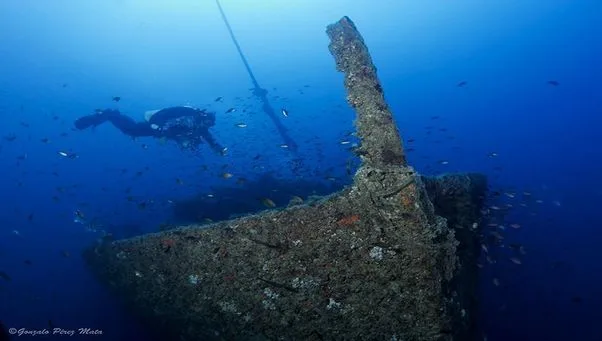 Plongeur explorant une épave colonisée par la vie marine bleue