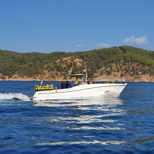 Bateau de plongée blanc navigue sur une mer bleue ensoleillée