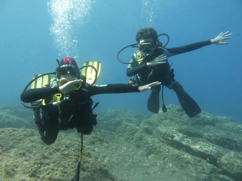 Deux plongeurs en combinaison explorent les fonds marins rocheux