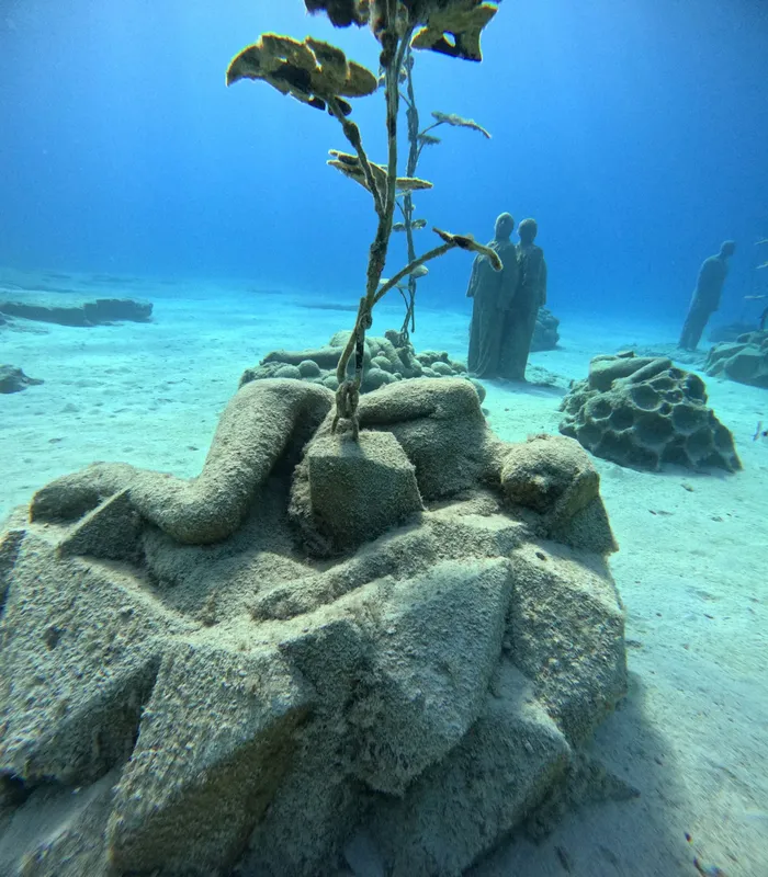 Sculptures sous-marines et végétation sur fond de sable clair