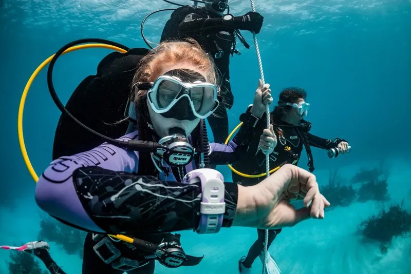 Deux plongeurs en combinaison regardent un ordinateur de plongée sous l'eau