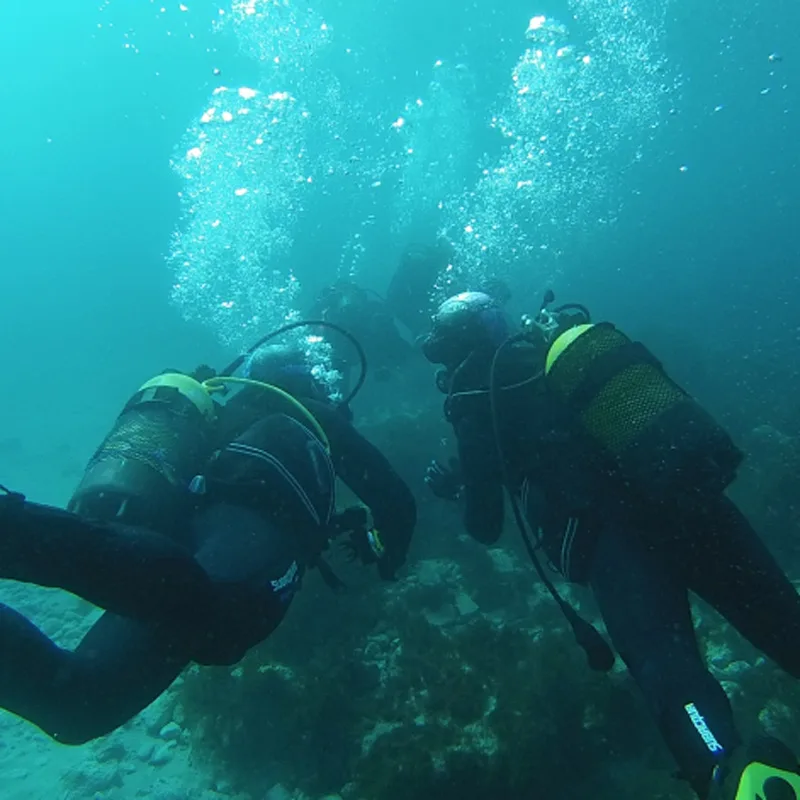 Trois plongeurs explorent les fonds marins, bulles remontant vers la surface
