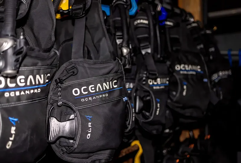 Rangée de détendeurs Oceanic Oceanpro noirs et gris suspendus verticalement