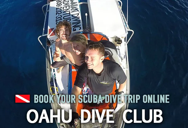 Trois plongeurs souriants à bord d'un bateau en mer