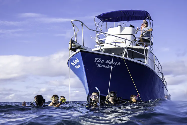 Groupe de plongeurs en surface devant un bateau bleu et blanc