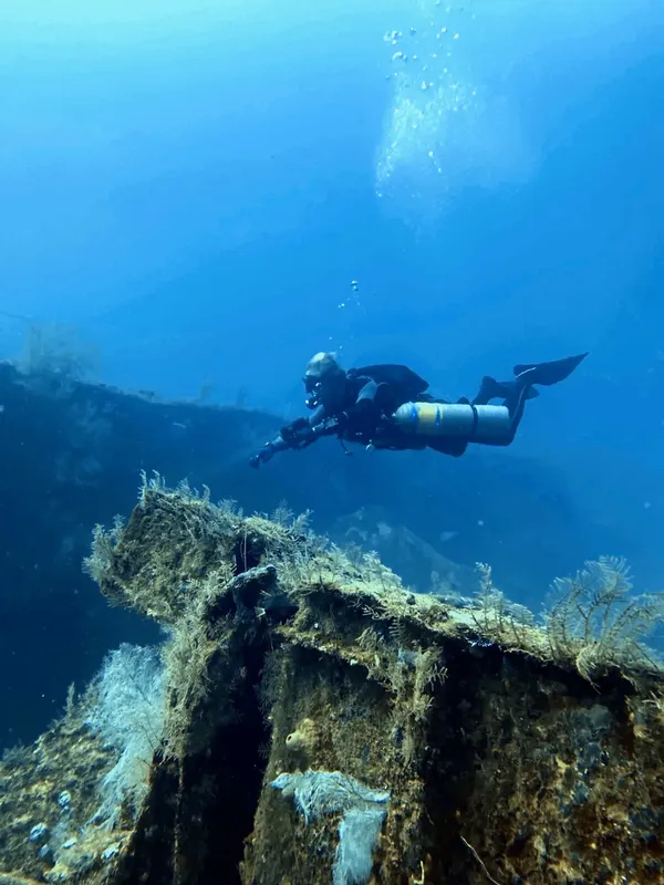 Plongeur explore une épave colonisée par la vie marine bleue