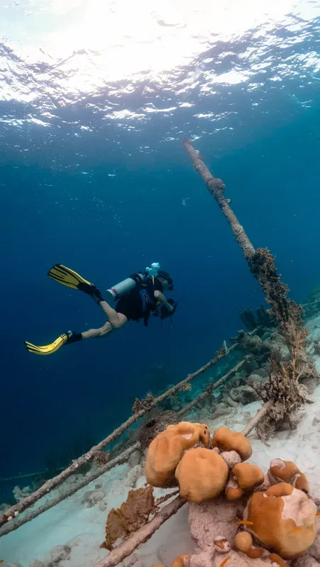 Plongeur explorant une épave sous-marine avec coraux et lumière