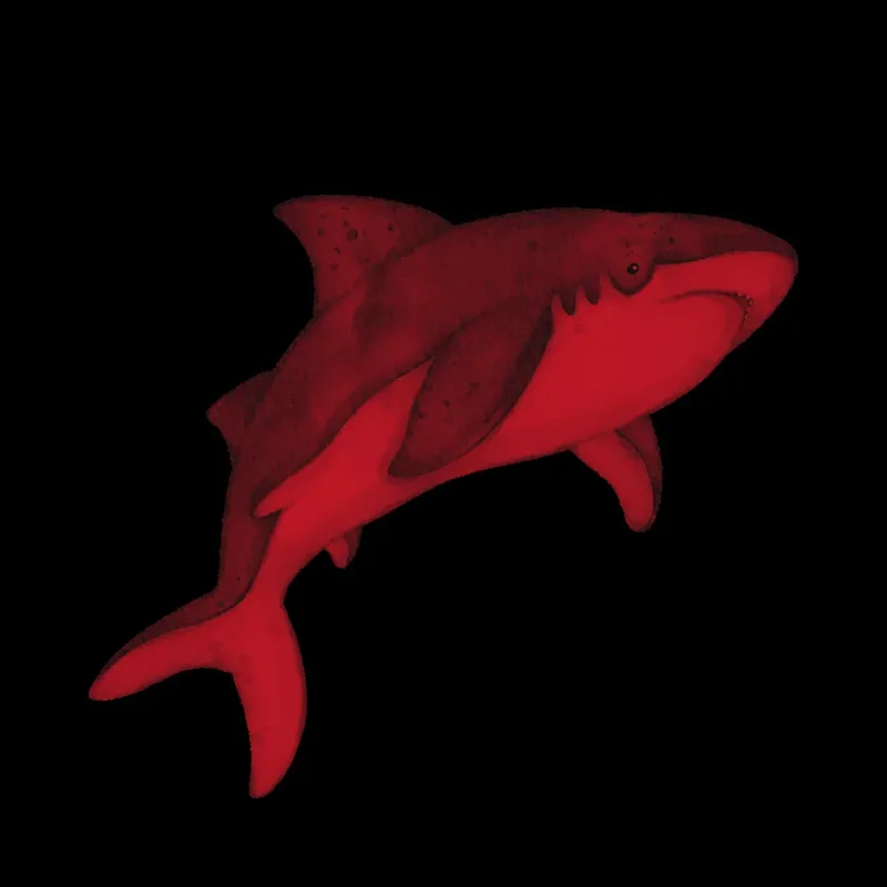 Requin rouge stylisé nageant sur fond noir illustration numérique