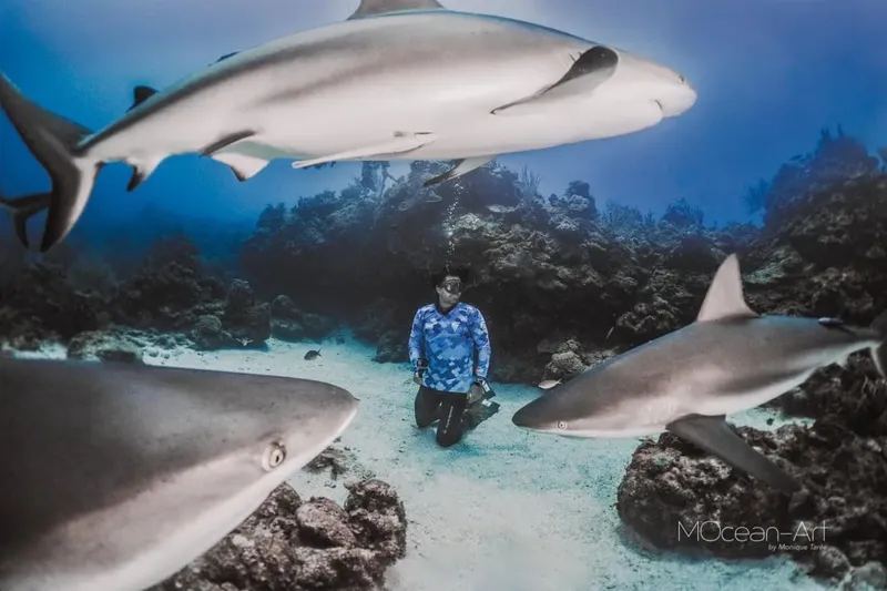 Plongeur face à face avec des requins de récif dans l'océan