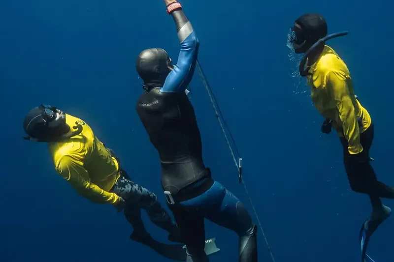 Trois plongeurs en apnée évoluent dans une eau bleue et claire