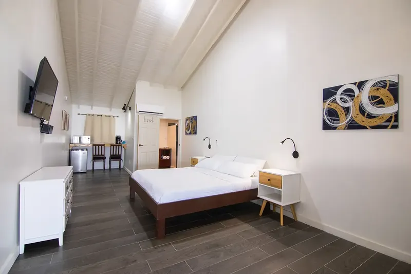 Chambre d'hôtel avec lit double, télévision et coin cuisine moderne