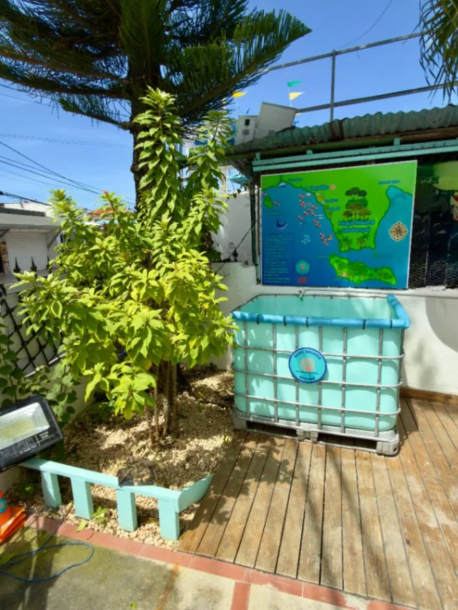 Terrasse avec un arbuste, une affiche colorée et un bac bleu