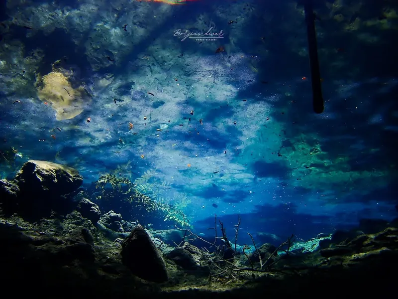 Vue sous-marine avec des poissons et des rayons de lumière bleus