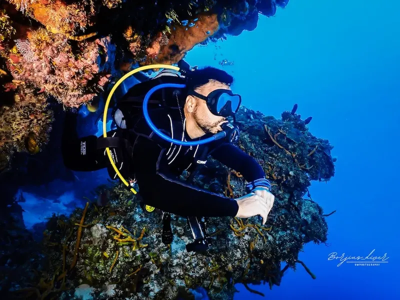 Plongeur explorant un récif corallien coloré en milieu sous-marin bleu