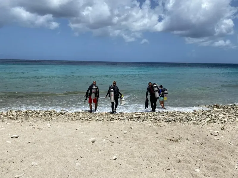 Trois plongeurs sortent de l'eau sur une plage de galets