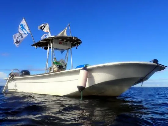 Bateau de plongée blanc sur une mer calme sous un ciel bleu
