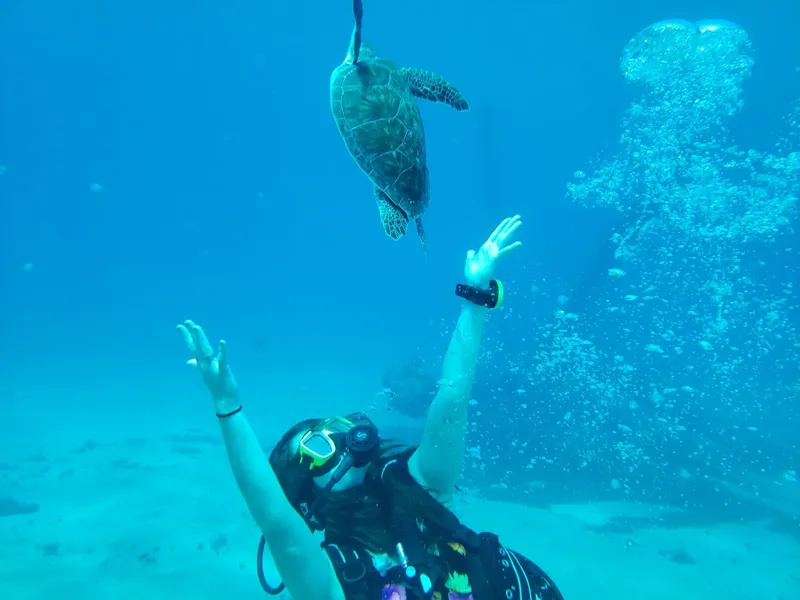 Plongeuse interagissant avec une tortue de mer dans un environnement bleu
