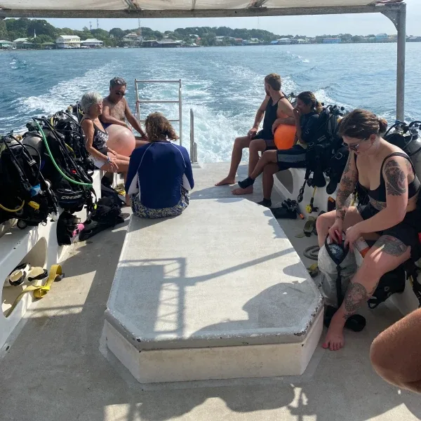 Plongeurs assis sur un bateau en direction d'un site