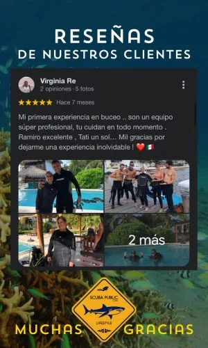 Plongeurs équipés près d'une piscine et d'un panneau requin avertissement